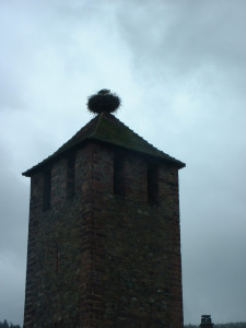 DSCF0040.JPG