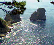 Capri3.jpg
