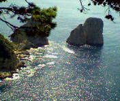 Capri5.jpg