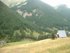 DSCF0001.JPG