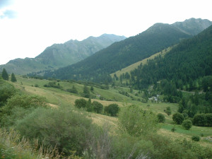 DSCF0002.JPG