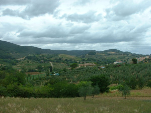 DSCF0055.JPG