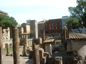 DSCF0083.JPG