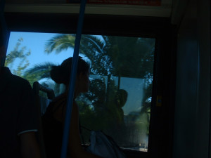 DSCF0129.JPG