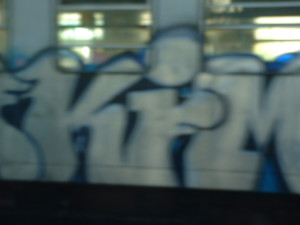 DSCF0130.JPG