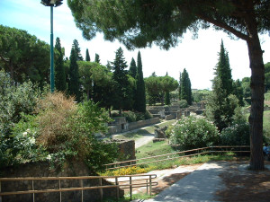 DSCF0158.JPG