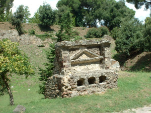 DSCF0160.JPG