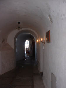 DSCF0220.JPG