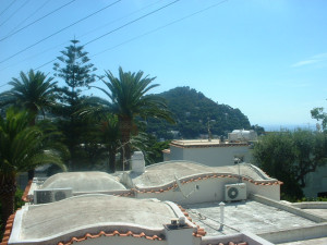DSCF0225.JPG