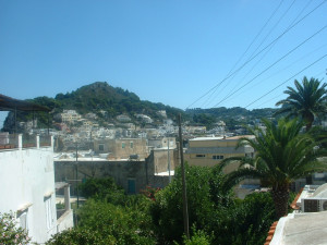 DSCF0226.JPG