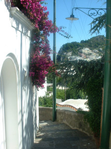 DSCF0227.JPG