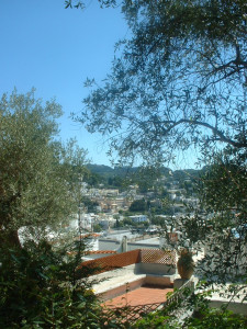 DSCF0229.JPG