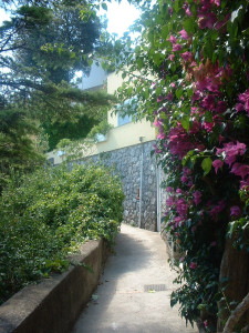 DSCF0230.JPG