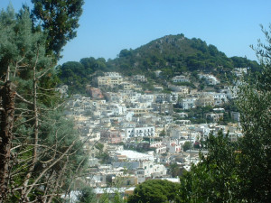 DSCF0231.JPG