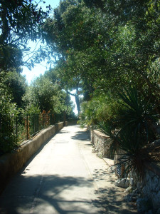 DSCF0232.JPG