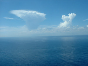 DSCF0241.JPG