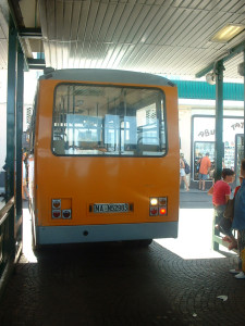 DSCF0246.JPG