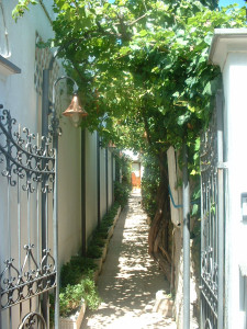 DSCF0251.JPG