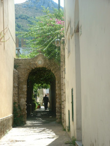 DSCF0252.JPG