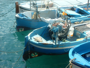 DSCF0270.JPG