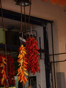 DSCF0279.JPG
