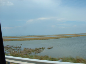 DSCF0283.JPG