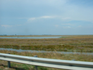 DSCF0284.JPG