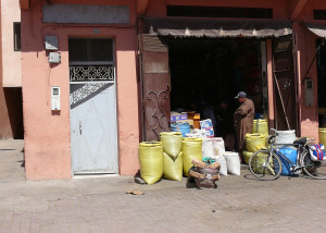 P1010016.JPG