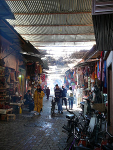 P1010022.JPG