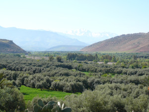 P1010044.JPG