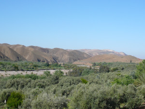 P1010045.JPG
