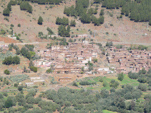 P1010048.JPG