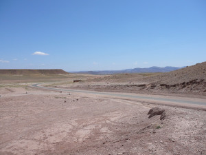 P1010070.JPG