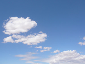 P1010078.JPG