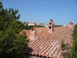 P1010797.JPG