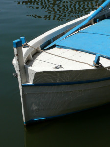 P1010817.JPG
