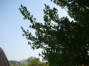 P1010927.JPG