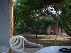 P1010946.JPG