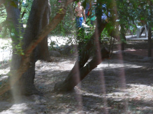 P1020002.JPG