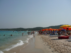 P1020003.JPG
