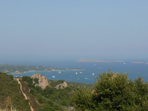 P1020007.JPG