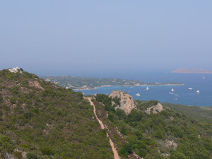 P1020008.JPG