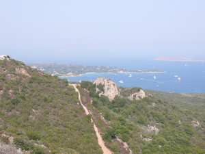 P1020009.JPG