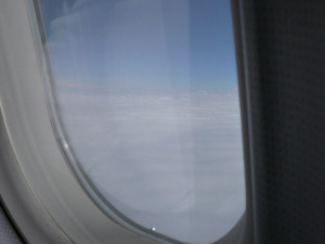 P1020015.JPG