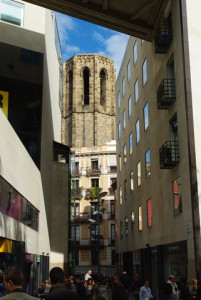 7666_IMGP0272.jpg