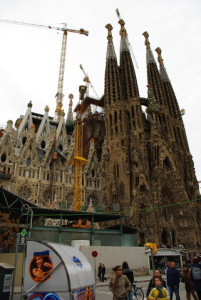 7679_IMGP0286.jpg