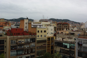 7751_IMGP0365.jpg