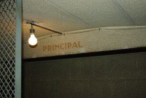 IMGP0252.JPG