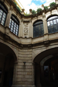 IMGP0274.JPG