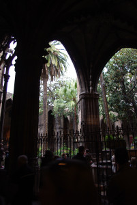 IMGP0277.JPG